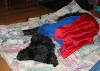 眠るスーパーヒーロー